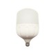 FOCO LED 45W E27 T-14 6500ºK 127-240V